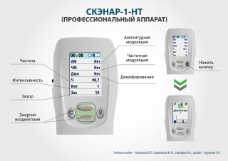 СКЭНАР-1-НТ (исполнение 01)  в Нижнем Тагиле купить Медицинский интернет магазин - denaskardio.ru 