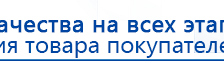 СКЭНАР-1-НТ (исполнение 01)  купить в Нижнем Тагиле, Аппараты Скэнар купить в Нижнем Тагиле, Медицинский интернет магазин - denaskardio.ru